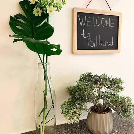 5 Minute Walk To Lego House - Location-garden On Site-n3 Apartmán Billund